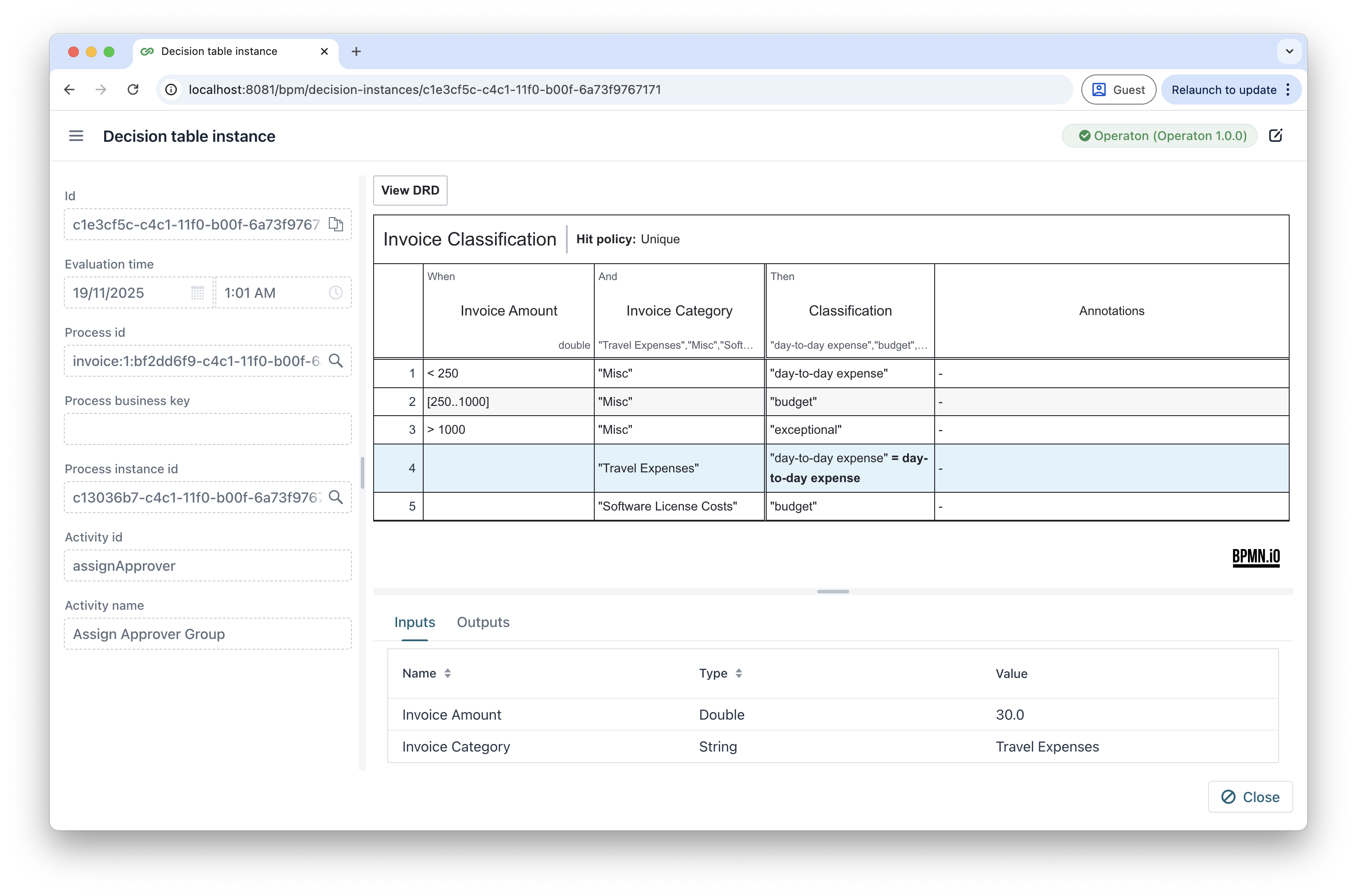 dmn details instance